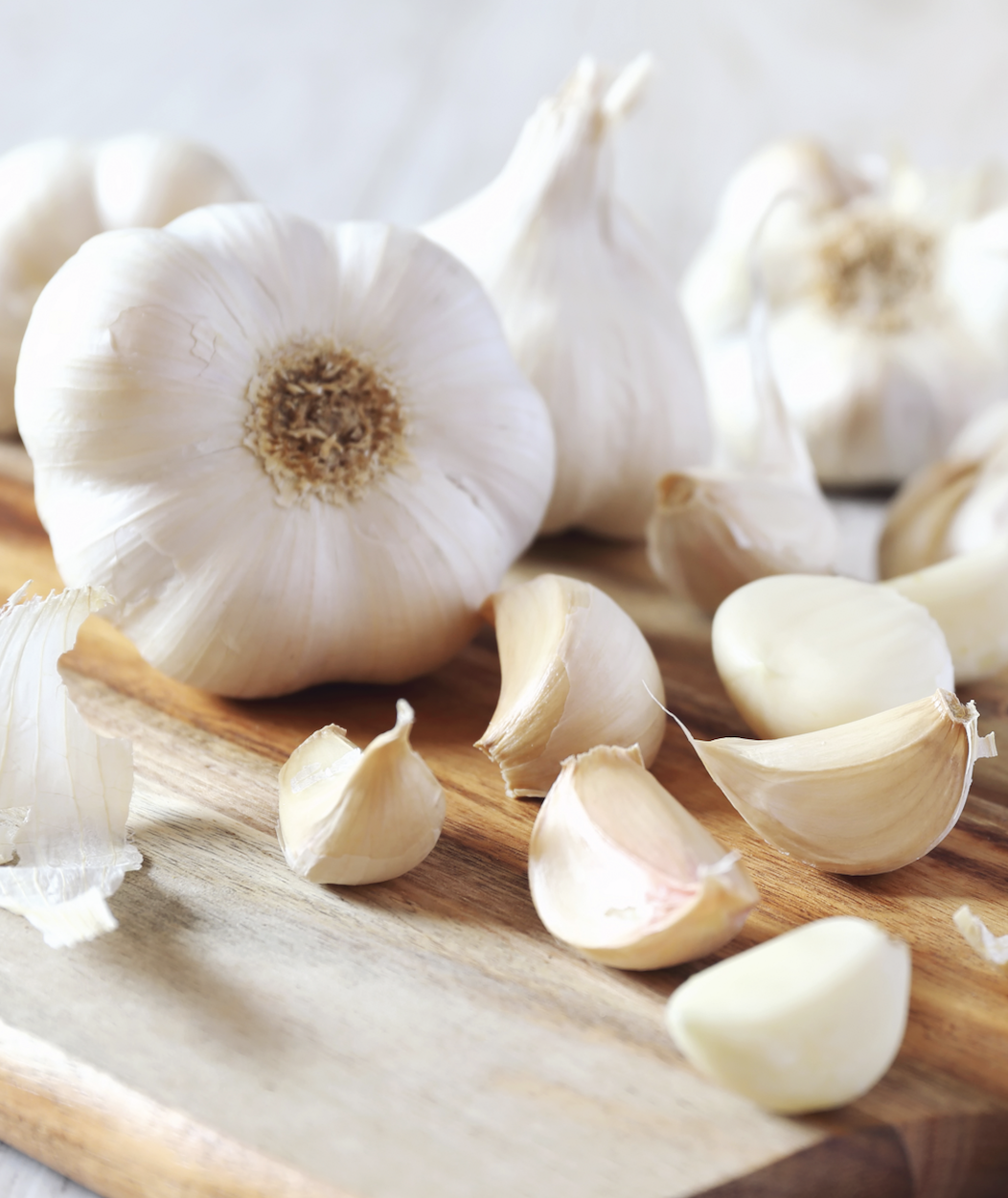 Glorious Garlic