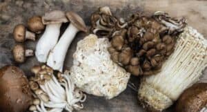 mushrooms