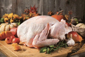 raw turkey