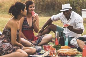 picnic