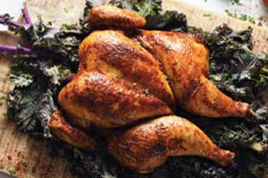 chicken