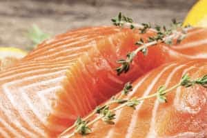 salmon