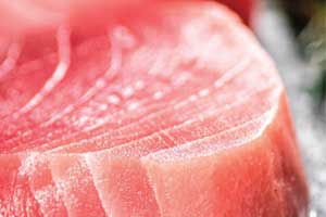 tuna