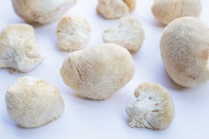 lions mane mushrooms
